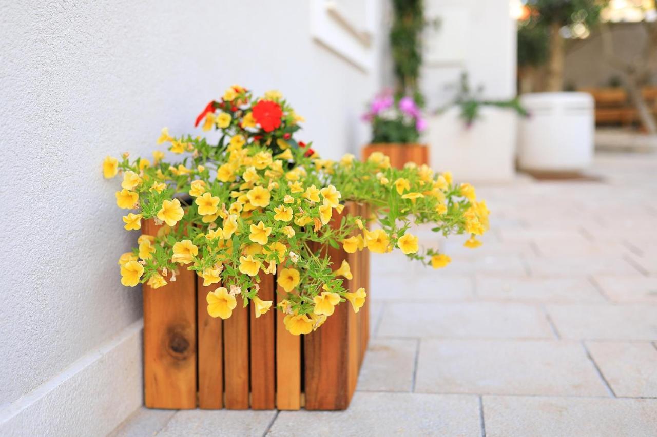Manda Luxury Hotel apartamentowy Zadar
